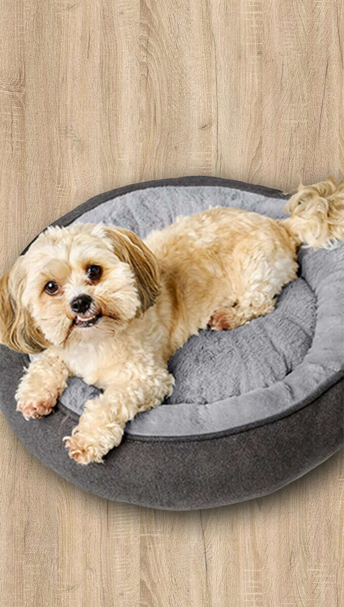 HUNTER Hunde & Katzenbett Donut Rockford 340x600 2